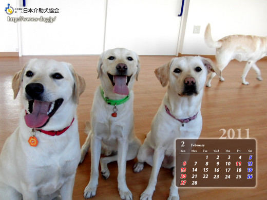404263 (a): :1600x1200